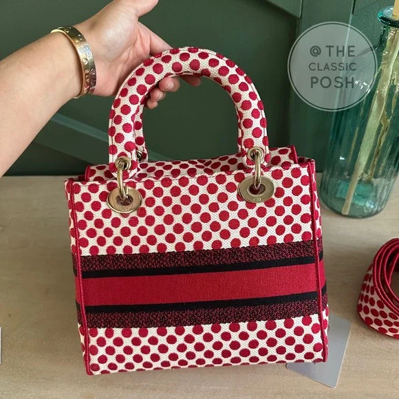 EUC  Rare Christian Dior Lady D Lite Dioramour 2020 Lady Bug Dots Satchel Bag - Picture 15 of 16